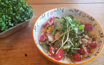 Salade orge et poulet au basilic et parmesan