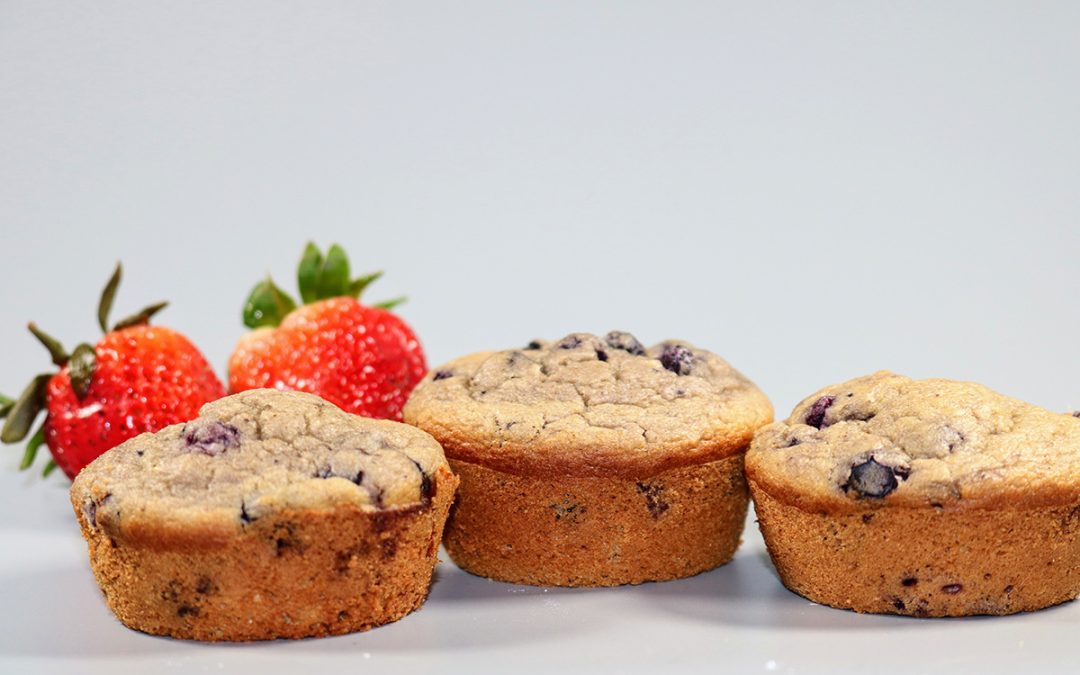 Muffins aux bleuets sans gluten. Recette faible en FODMAP. ÉPITHÉLIA- Clinique de santé digestive. Équipe de nutritionnistes.