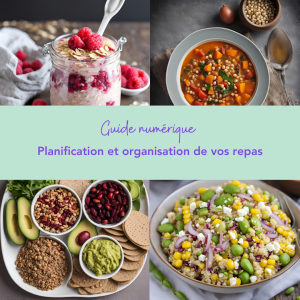 Guide numérique. Planification et organisation des repas. Stratégie à la maison, à l'épicerie et au restaurant. Recette de meal prep. ÉPITHÉLIA- Clinique de santé digestive.