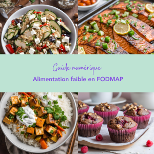 Guide numérique- Alimentation faible en FODMAP. Produits, recettes et astuces du quotidien pour une alimentation faible en FODMAP. ÉPITHÉLIA- Clinique de santé digestive