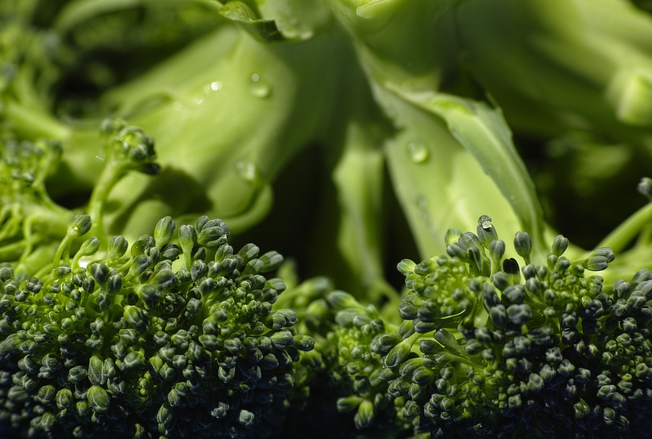 Brocolis et gaz
Astuces pour soulager les inconforts et recettes pour cuisiner le brocoli