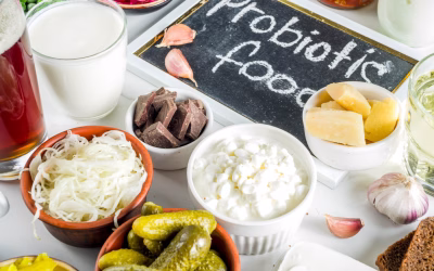 Les Probiotiques – Des alliés pour votre microbiote intestinal!
