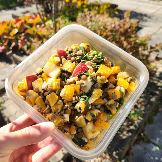 🔒Salade tiède d&rsquo;accompagnement aux pommes rôties & lentilles